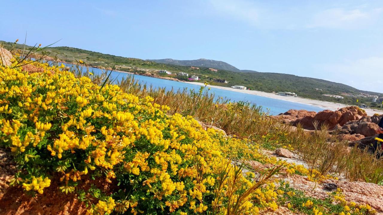 Casa Vacanza Costa Rossa Vista Mare Trinità dʼAgultu 外观 照片