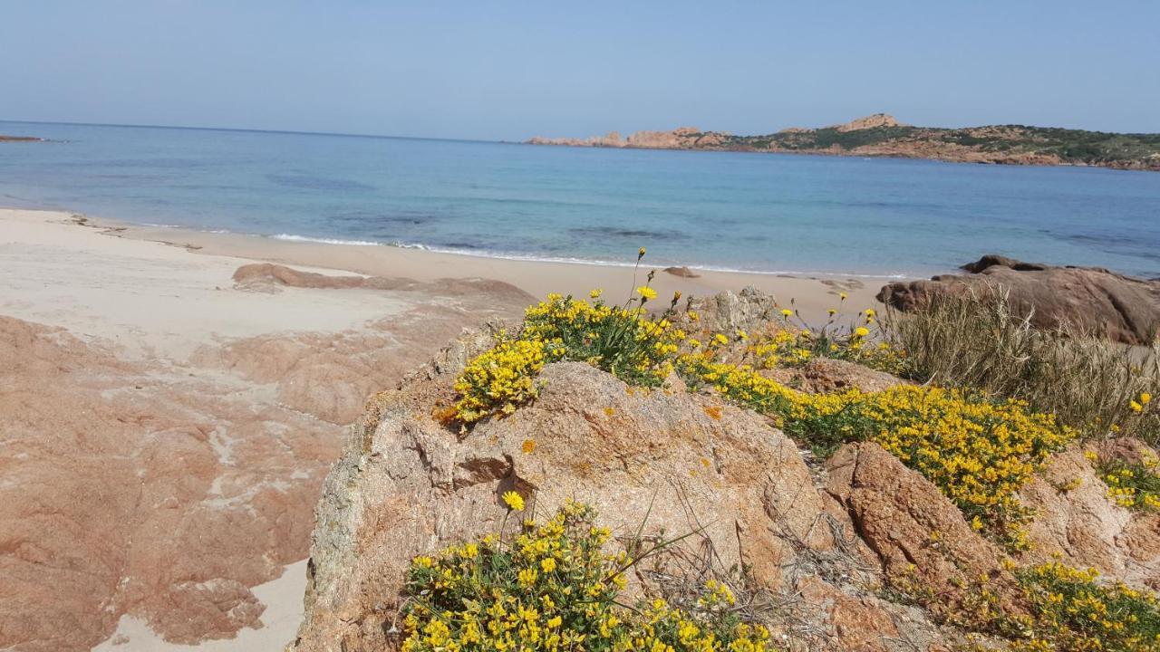 Casa Vacanza Costa Rossa Vista Mare Trinità dʼAgultu 外观 照片